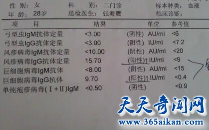 巨细胞病毒4.jpg