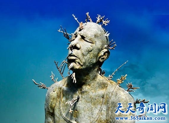 探索神秘的海底蛤蟆人是否真的存在，海底人是不是人类的分支？