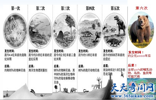 即将到来的第六次物种大灭绝，人类成为罪魁祸首！？