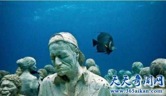 探索神秘的海底蛤蟆人是否真的存在，海底人是不是人类的分支？