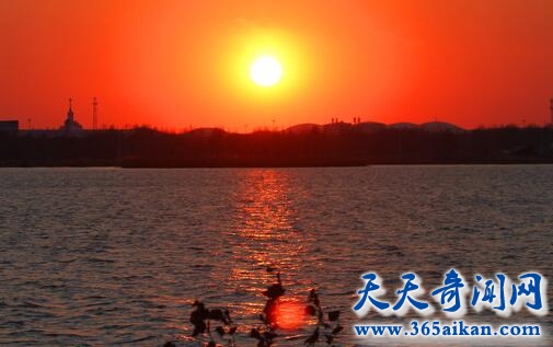 太阳5.jpg