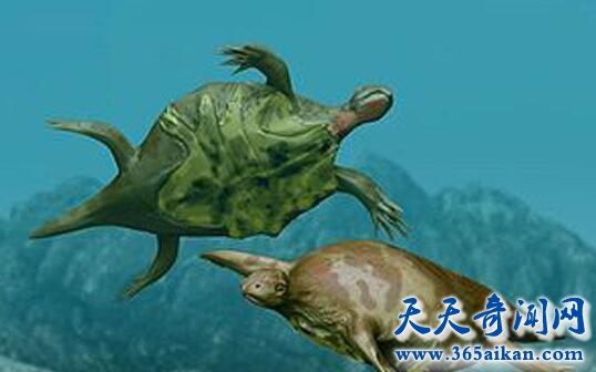 盘点各种动物的祖先都是谁？动物进化变迁史！