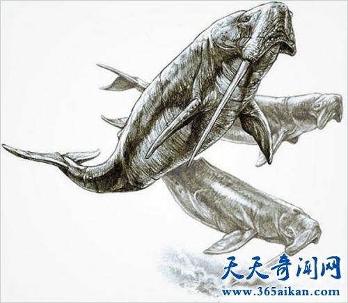 盘点各种动物的祖先都是谁？动物进化变迁史！