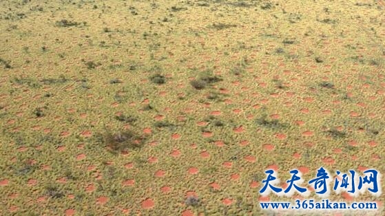 揭秘非洲模样奇特的仙女圈，莫非这是外星人的杰作！