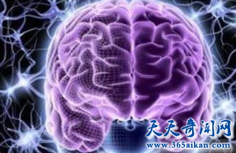 永生计划1.jpg