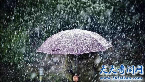 地球气候变化的风向标，拉尼娜事件！