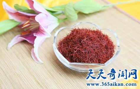 藏红花1.jpg