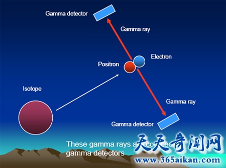 揭秘什么是湮灭反应？湮灭反应有什么作用？