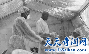马尔堡病毒4.jpg