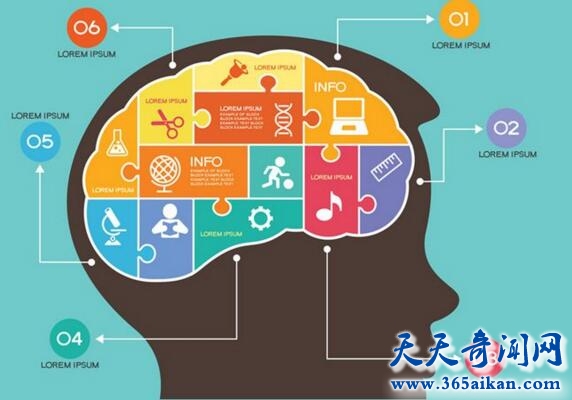 科学揭秘人类大脑您不知道的惊人事实！