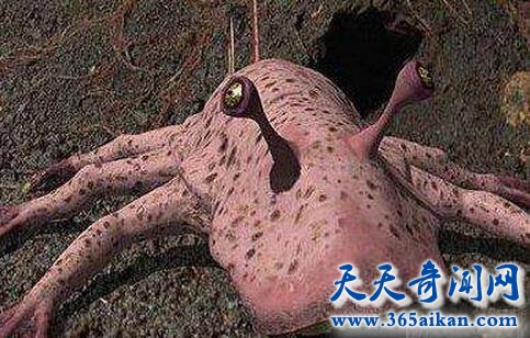 外星人像非碳基生命.jpg