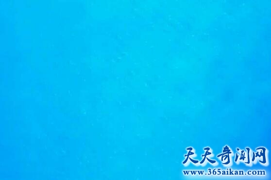 深海和高空.jpg