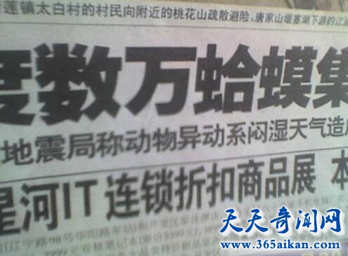 世界上长得最憋屈的青蛙，气蛤蟆拔得头筹！