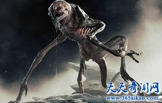 外星人.jpg