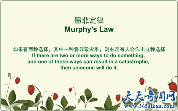 令人惊奇的墨菲定律是怎么样的？