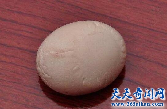 哈雷彗星蛋1.jpg