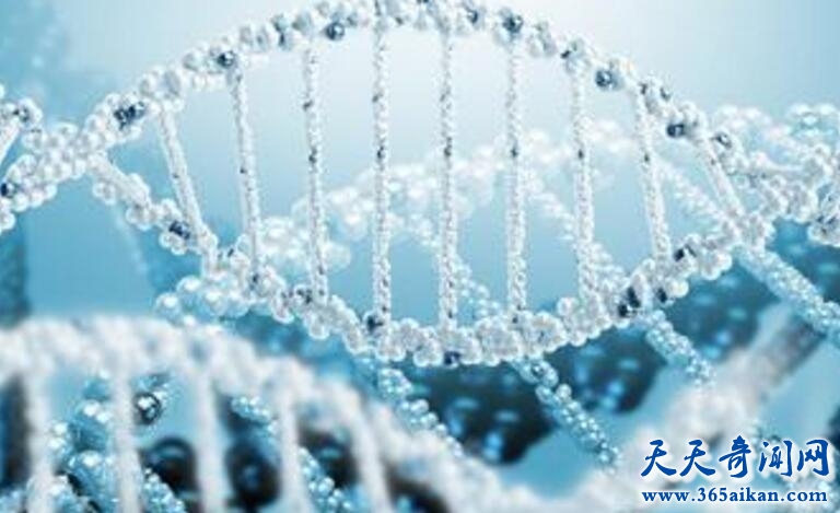 一滴血能测天赋性格姻缘？基因检测天赋是真是假？