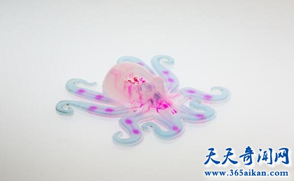 揭秘令人惊奇的仿生学机器人，仿生学软体机器人消灭污染物