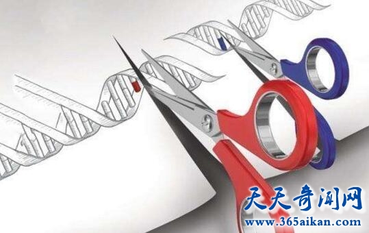 医学界研究院正在研究取代抗生素治疗的新方式——基因编辑技术！