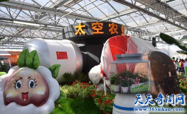 太空农业是可控环境农业的基础，也是太空殖民的基本！