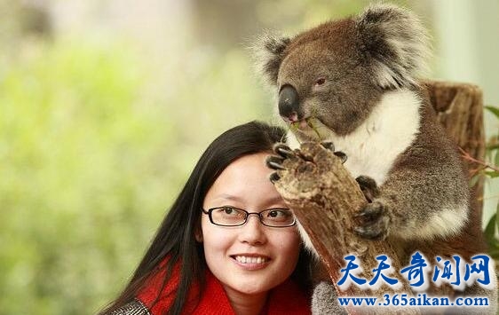 人与动物的区别有哪些？人与动物的温馨故事！