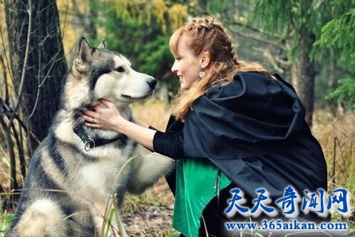 人与动物的区别有哪些？人与动物的温馨故事！