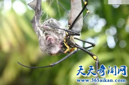 盘点世界上那些令人毛骨悚然的科学发现，Facebook知道你要和你的另一半分手！