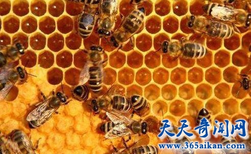盘点世界上那些令人毛骨悚然的科学发现，Facebook知道你要和你的另一半分手！