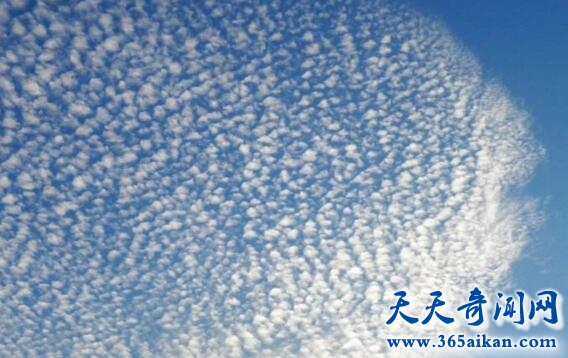 地震云真的能预测地震吗？地震云的种类有哪些？