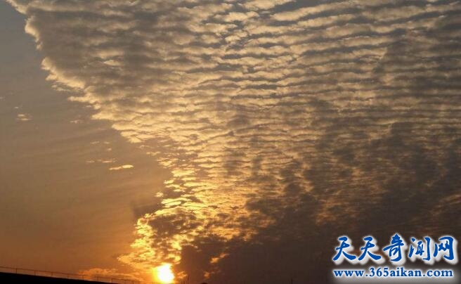 地震云真的能预测地震吗？地震云的种类有哪些？