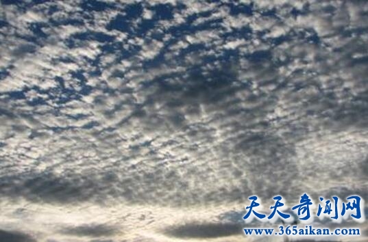 地震云真的能预测地震吗？地震云的种类有哪些？