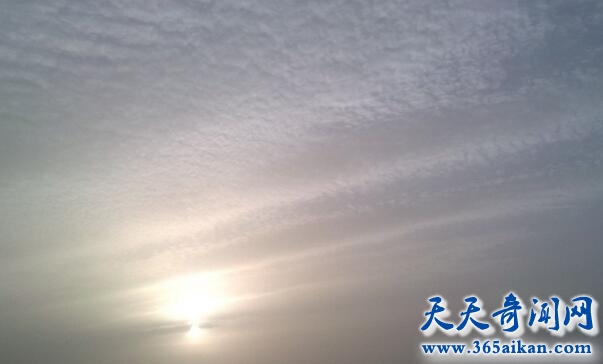 地震云真的能预测地震吗？地震云的种类有哪些？