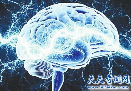 利用光束控制大脑细胞活动