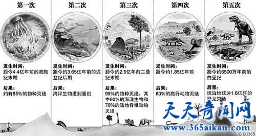 地球物种大灭绝