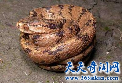 QQ截图20170411115104.jpg