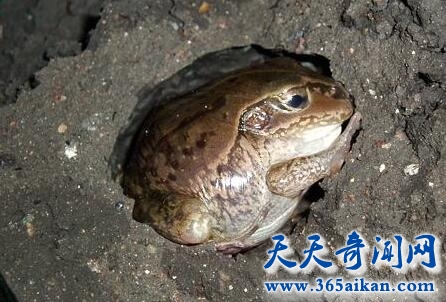 QQ截图20170411115104.jpg