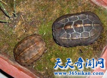 QQ截图20170411115104.jpg