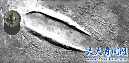 timg (6)_副本.jpg