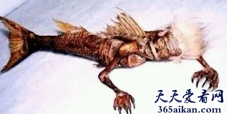 盘点中国最令人无解的十大神秘事件是哪些？
