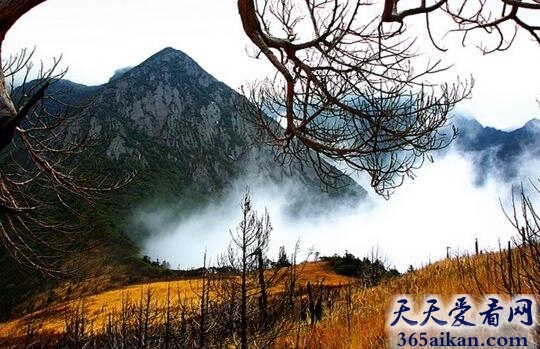 乐山黑竹沟1.jpg