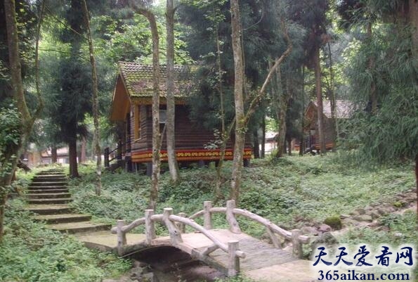 黑竹沟神秘事件.jpg