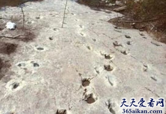 秦始皇地宫水银湖海之谜.jpg
