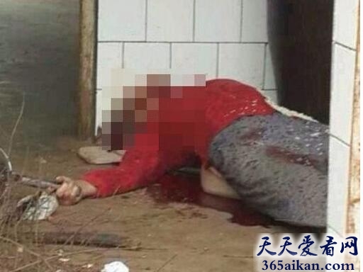 抚宁杀人案.jpg