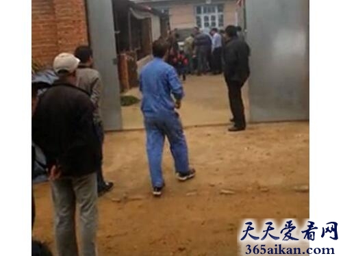 抚宁杀人案2.jpg