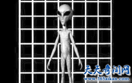 揭秘灰人计划是什么？灰人是否真的存在？