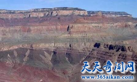 寒武纪3.jpg