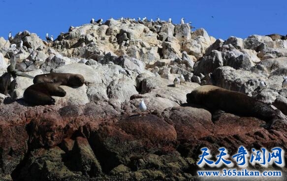 盘点沙漠十大神秘现象是哪些？死寂的沙漠中孕育着灿烂的文明！