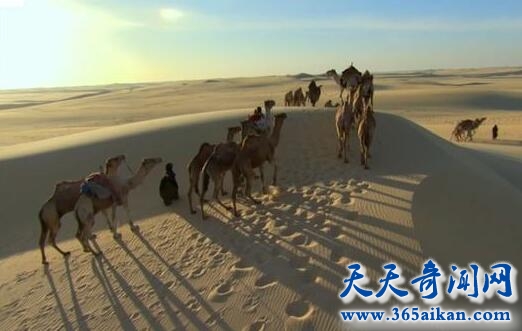 盘点沙漠十大神秘现象是哪些？死寂的沙漠中孕育着灿烂的文明！