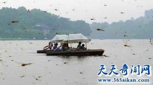 唐山大地震前兆.jpg