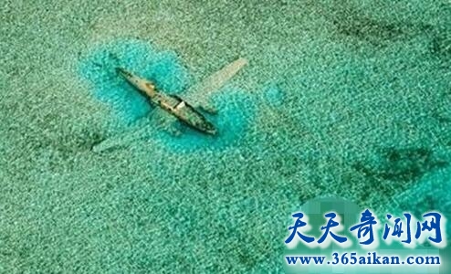 失踪半个世纪的客机1.jpg